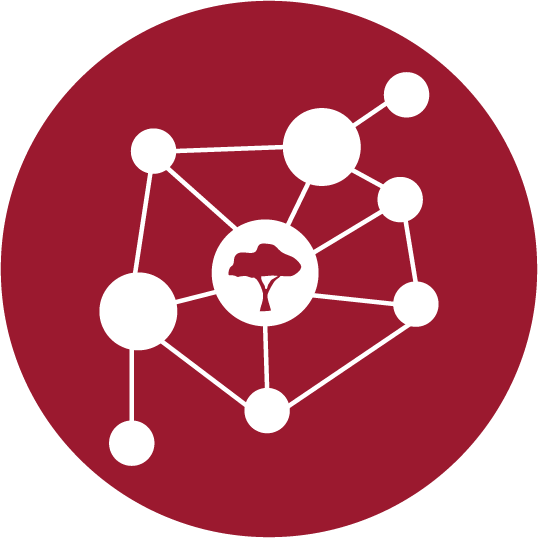 Connectivity Icon